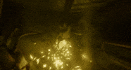 Kate Winslet Avatar GIF