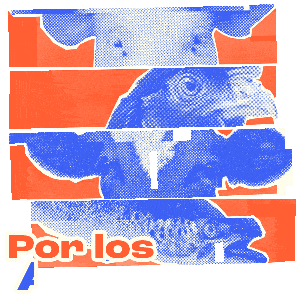 Vegan Animales Sticker by Mercy For Animals Latinoamérica