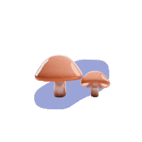 mushroomdesign mushroom shrooms mushrooms cordyceps Sticker