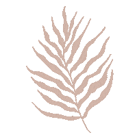 Leaf Leaves Sticker