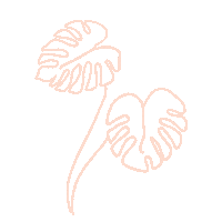 Plant Monstera Sticker