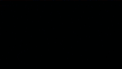 cruisin usa GIF by namslam