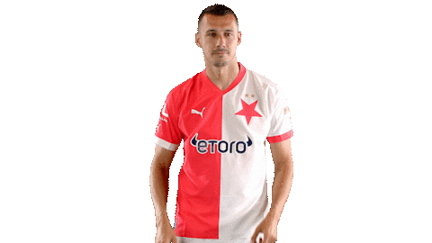 Football Soccer Sticker by SK Slavia Praha