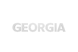 Gotigers Wareagle Sticker by Auburn University
