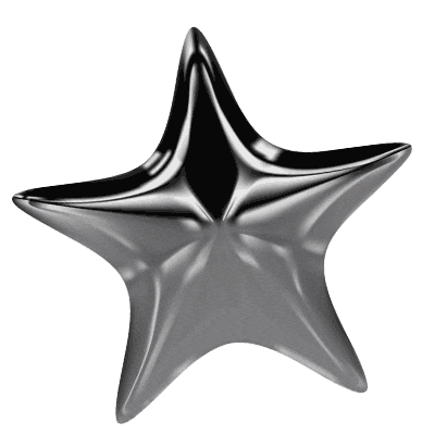 Silver Star 3D Sticker by Dream Wild Studio