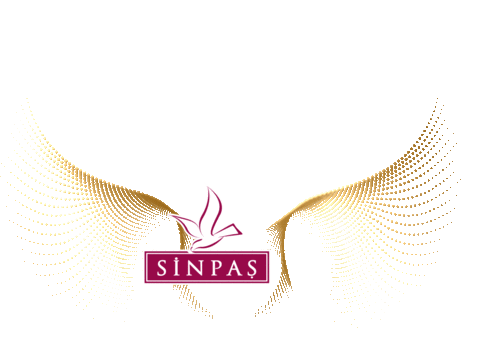 Sinpas Sticker by GifSin