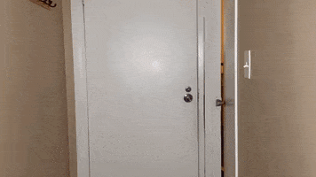 Video Games Reaction GIF by G FUEL