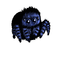 Spider Jumping Sticker