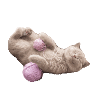 National Lazy Day Sticker by imoji