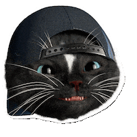 Cool Cat Cats Sticker by Felini Rocks