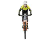 BIKESCHOOLPEKOLL bike ride explore coaching Sticker