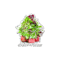 Abu Dhabi Pizza Sticker by CML Station