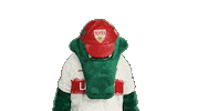 Look Up Vfb Stuttgart Sticker by Bundesliga