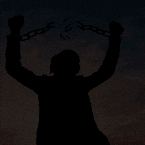 Freedom Set Free GIF