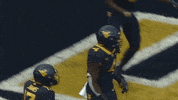 College Football GIF by WVU Sports