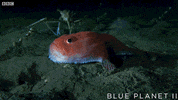 bbc one sea GIF by BBC