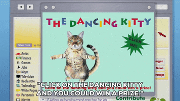 cat dancing GIF by South Park 
