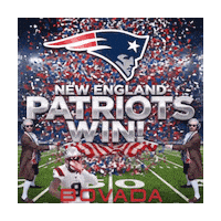 New England Patriots Sticker by Bovada