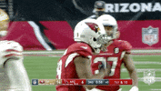 Regular Season Football GIF by NFL