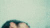 Spying Music Video GIF by Vundabar