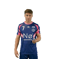 Handball Leis Sticker by DAIKIN HBL