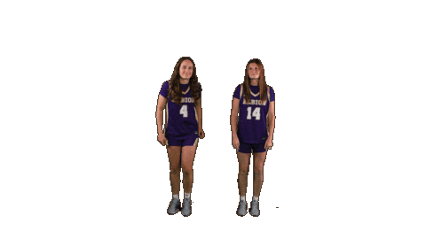 Ppp D3 Sticker by Albion College