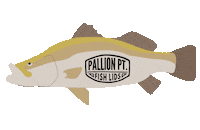 pallionpoint ocean fish australia fishing Sticker