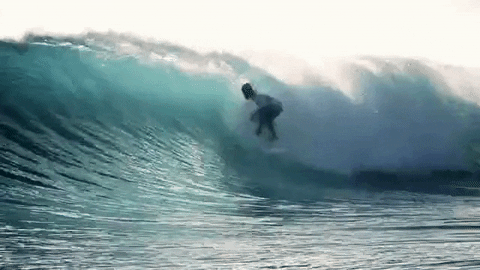kelly slater surfing GIF