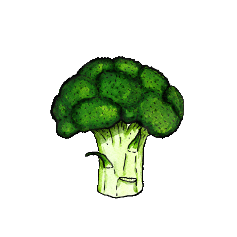 billiejusticethomson giphyupload broccoli broc bjt Sticker