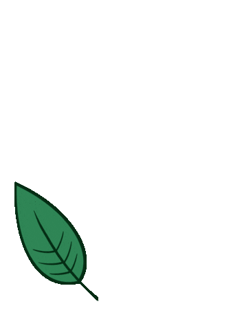 Leaf Vkvk Sticker