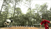 shao nian bao qing tian GIF