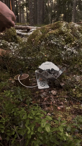 giphyupload GIF