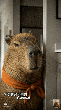 Suspicious Korea GIF