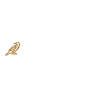 Hok Sticker by Corvinus HÖK