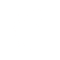 PlataformaperlaLlengua love heart amor corazon Sticker