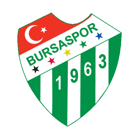 Logo Sticker by Bursaspor