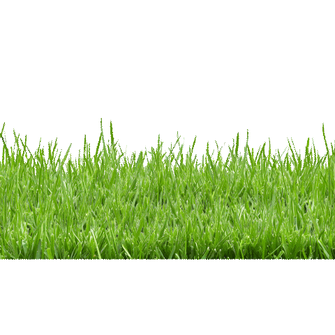 Robot Lawnmower Sticker by Kärcher