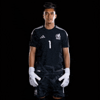 Fifa World Cup Mexico GIF by Respective