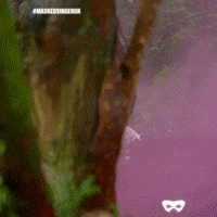 Dance Dancing GIF by The Masked Singer UK & The Masked Dancer UK
