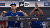 Ny Mets Sport GIF by New York Mets