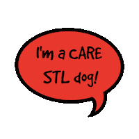 carestl adoptdontshop carestl icarestl caredog Sticker