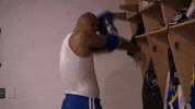 Lets Go Sport GIF by NBA