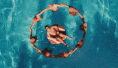 Hudson Swimming GIF by Laufey