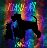 KiasuK9  GIF