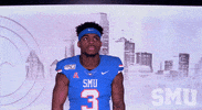 College Sports Ncaa GIF by SMU Football