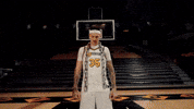 Ncaa Basketball GIF by Mizzou Athletics