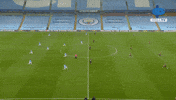 Premier League England GIF by MolaTV