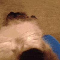 GIF by Demic