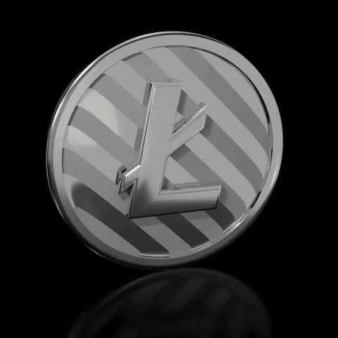 AndrewJumpen giphyupload doge dogecoin litecoin GIF