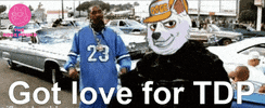 Snoop Dog GIF by The Doge Pound 